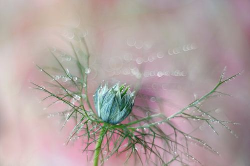 Little girl in green