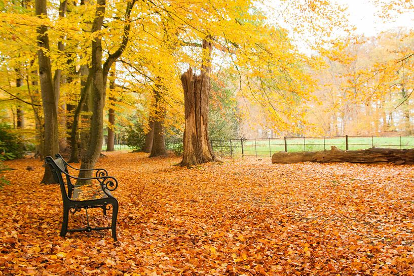 Bank im Herbst von Harld Roling