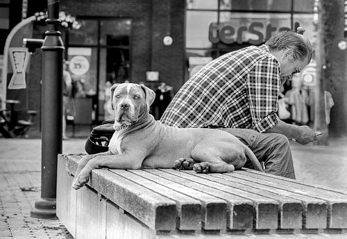 who let out whom closely