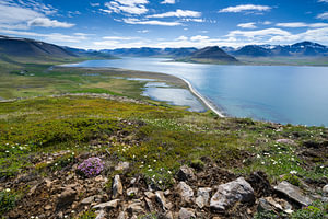 Uitzich over het Dýrafjörður, IJsland