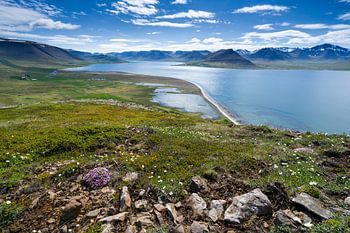 Blick über Dýrafjörður, Island