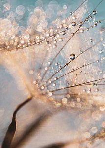 Harmonie und Balance