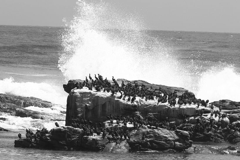 Kap Point in Südafrika von Olaf Franke
