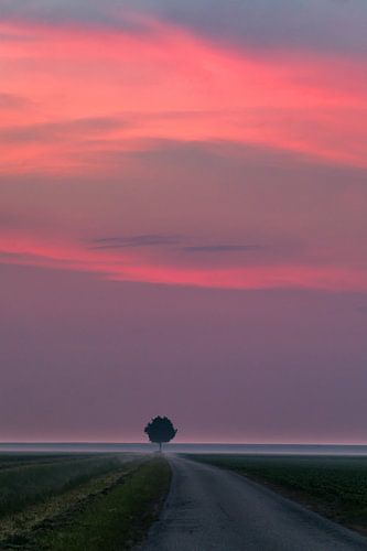 Sunrise in the north of Groningen, the Netherlands