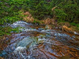 Between The Green Nature Flowing River Bayehon