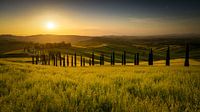 Toscaanse heuvels in de Val de Orcia bij zonsondergang