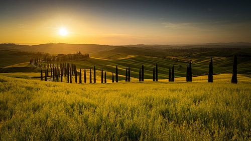 Hügel der Toscana im Val de Orcia zum Sonnenuntergang