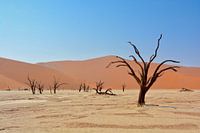 dead valley
