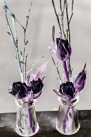 creatief fotografie von nicole bol