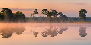 Panoramablick auf den Sonnenaufgang Aekingerzand