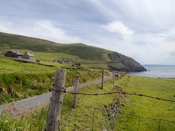 Ferme irlandaise sur la côte sur Robrecht Kruft