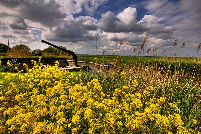 Frühling im Rundhuhn von Inge Wiedijk