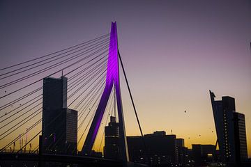 Der Schwan (Erasmusbrücke) in Rotterdam bei Sonnenuntergang von Dennis Langendoen