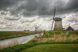 Molen en bollenveld  van Jan Siebring