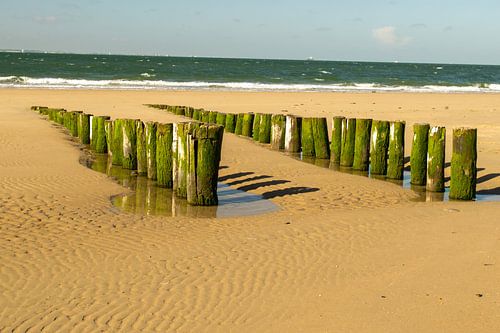 houten zeewering bij eb.