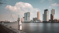 Erasmus Bridge, Rotterdam von Lorena Cirstea Miniaturansicht