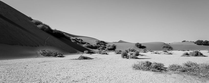 Photo panoramique en noir et blanc - Sossusvlei par Tine Depré