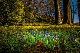 Landschap in het Erzgebergte van Johnny Flash