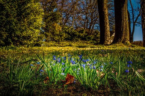Landschap in het Erzgebergte