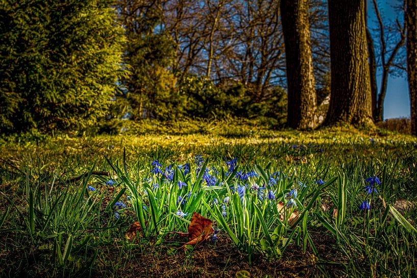 Landscape in the Erzgebirge by Johnny Flash