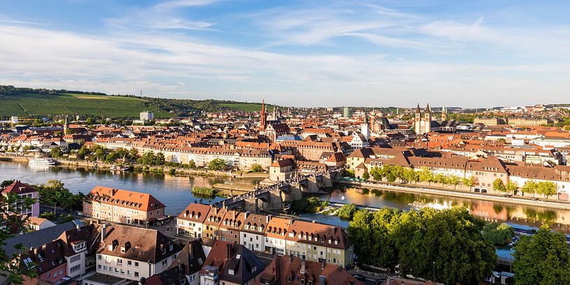 Le vieux pont principal et la vieille ville de Würzburg par Werner Dieterich