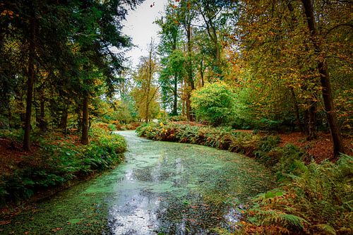 Dans les bois, domaine de Fraeylemaborg