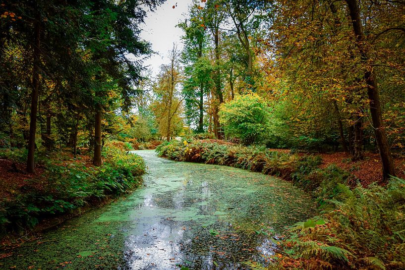 Into the woods, landgoed Fraeylemaborg van Merel Pape Photography