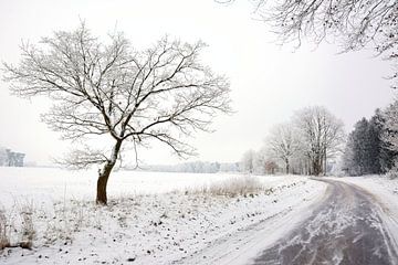 Frozen von Gisela Scheffbuch