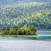 Eiland in de Eibsee bij Garmisch-Partenkirchen in Beieren van Rico Ködder