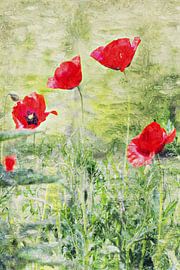 Coquelicots dans le champ (peinture)