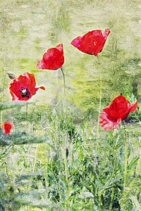 Mohn auf dem Feld (Malerei)