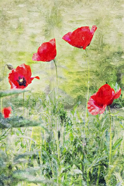 Klaprozen in het veld (schilderij) van Art by Jeronimo