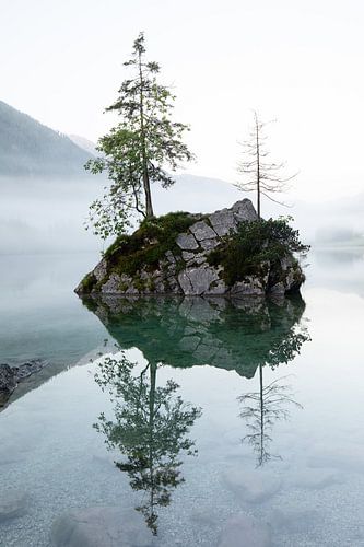 Magischer Sonnenaufgang am Hintersee im Berchtesgadener Land von Jiri Viehmann