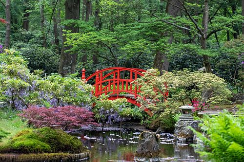 Rode japanse brug - Japanse tuin (5)