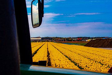 Tulpenvelden “A Different View” van Truckpowerr