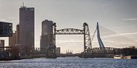 3 ponts de Rotterdam près de Noordereiland (paysage/couleur) par Rick Van der Poorten Aperçu