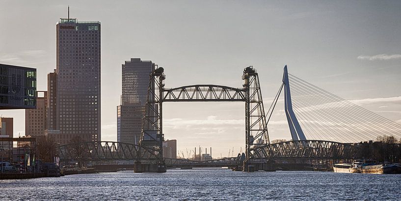 3 ponts de Rotterdam près de Noordereiland (paysage/couleur) par Rick Van der Poorten