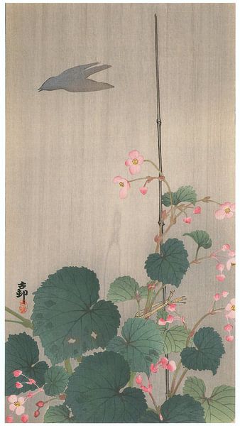Ohara Koson - Winterharte Begonie und Schatten eines Vogels im Regen (bearbeitet) von Peter Balan