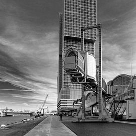 Cruise Terminal Rotterdam
