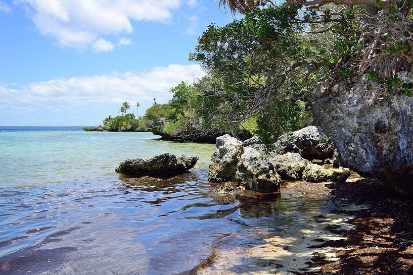 Atteint la fin de la plage par Frank's Awesome Travels