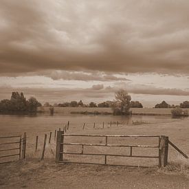 Silence derrière la clôture sur Jose Lok