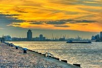 The Rotterdam Harbor during the sunset with boats and skyline Rotterdam