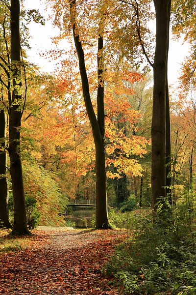 Kasteel ter Hooge van Wendy Hilberath
