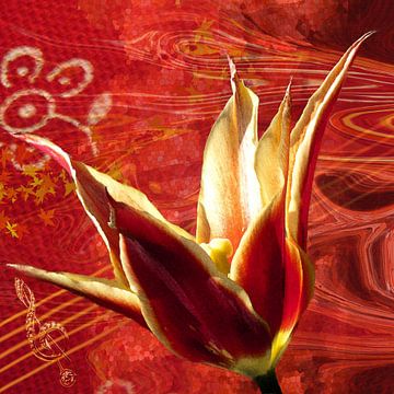 Tulipe musicale rouge
