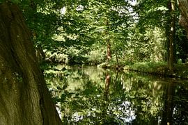 Üppiges Wasserspiel von StudioFocus