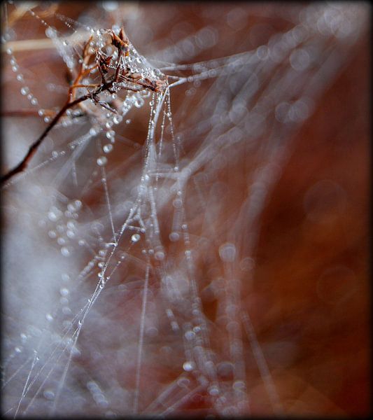 kunst? by Vl-pictures Vera-linde