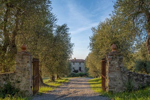 Podere Toscaberna in Seggiano Toscane
