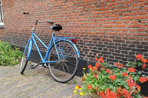 Blauwe fiets tegen muur met geraniums