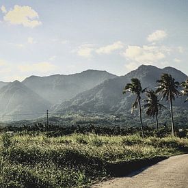 Natuur Oost-Taiwan. van Erik Juffermans