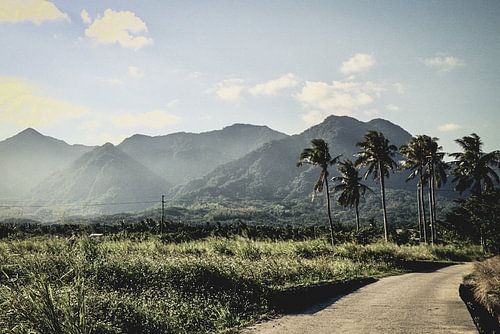 Nature à l'est de Taïwan.